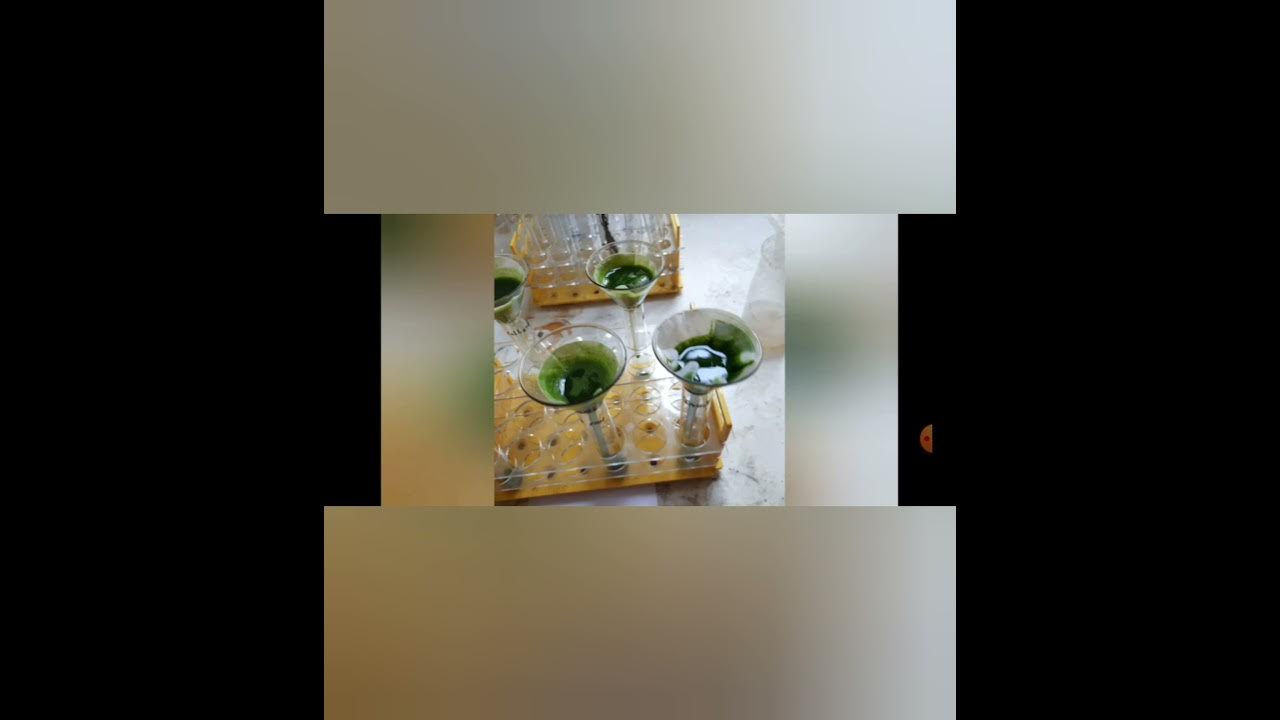 Simple procedures to check the chlorophyll content using