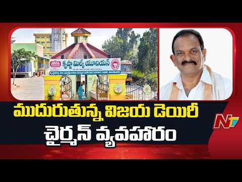 Vijayawada : విజయవాడలో ముదురుతున్న విజయ డెయిరీ చైర్మన్ వ్యవహారం | NTV Telugu - NTVTELUGU