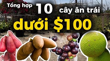 Tổng hợp 10 cây ăn trái DƯỚI $100!!