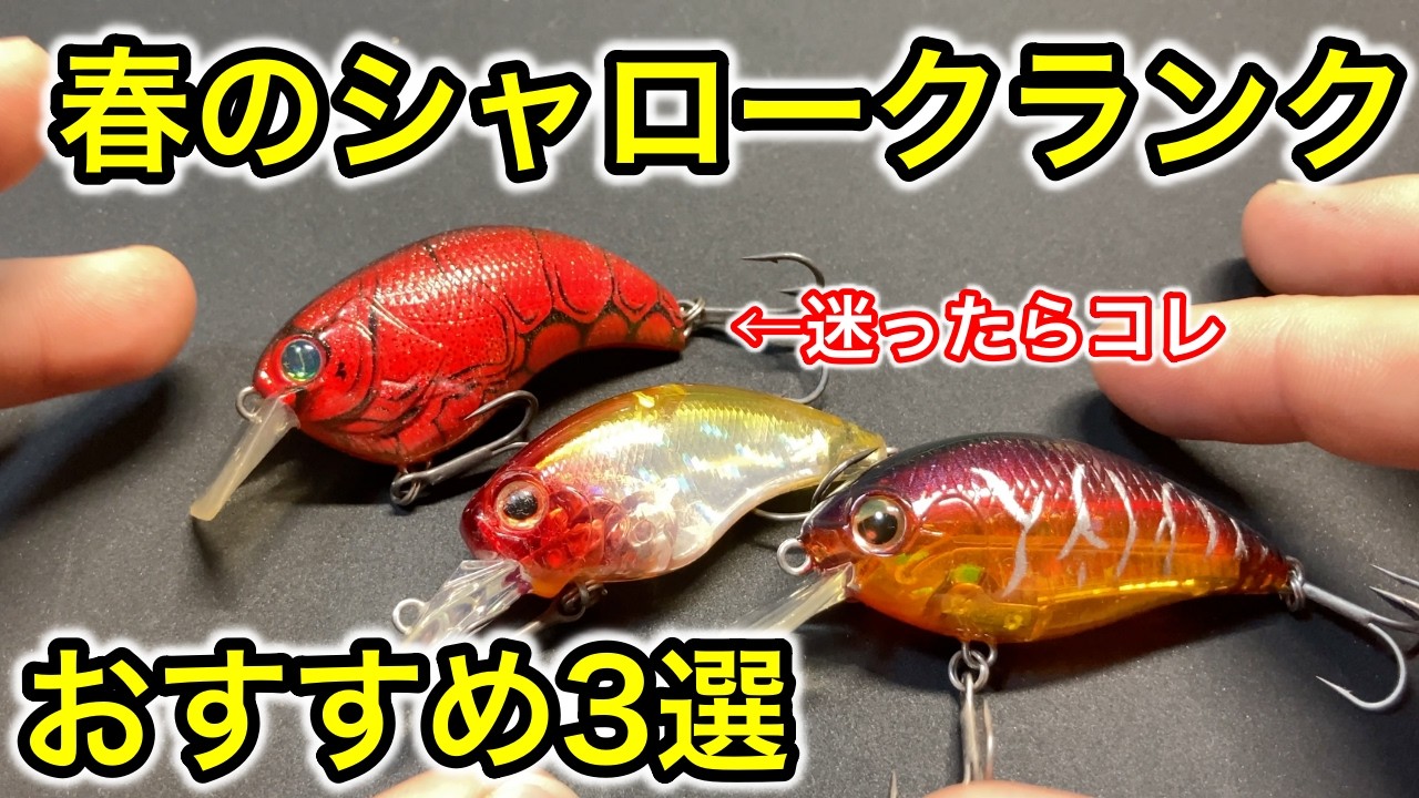 春のおすすめシャロークランク3選【おかっぱり】