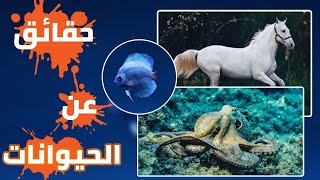 27 معلومة أكثر من رائعة عن الحيوانات (معلومة في صورة)