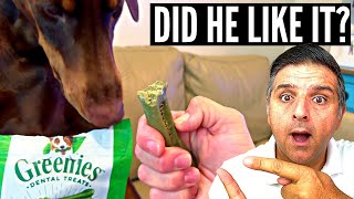 Greenies Original Dental Dog Treats