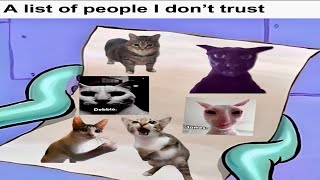 Evil Larry Is Number One On My List Funny Cat Videos Compilation