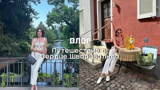 картинка: Путешествие в Сердце Шварцвальда| От  истока Дуная до витрин Dior ✨