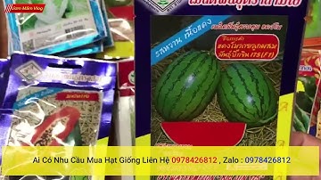 công ty phân phối hạt giống nhập khẩu thái lan, nhập khẩu đài loan nguyên bao bì , hạt giống rau ,