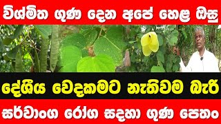 Ath Beheth Sinhala | Pethan | story eka