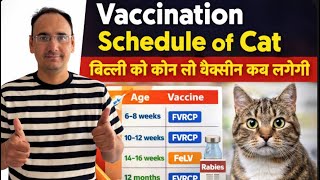 Vaccination Schedule of Cat || बिल्ली को कौनसी वैक्सीन कब लगाई जाती है ??