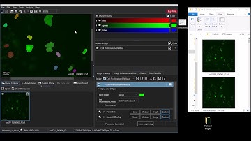 Lumaquant LiveImport Demonstration