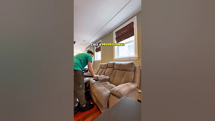 Wondering how to remove dog smell from the couch? Pet owners, this trick might save your sofa!