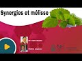 Synergies micronutritionnelles et combinaison intressantes avec la mlisse