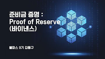 블파스 준비금 증명 Proof Of Reserve System 바이낸스 김동구