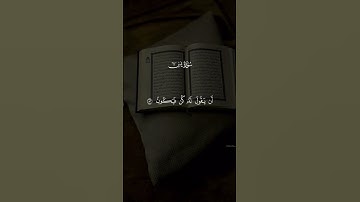 قرآن كريم #اكسبلور #المصحف #دويتو #الرحمن #لايك #القزابري