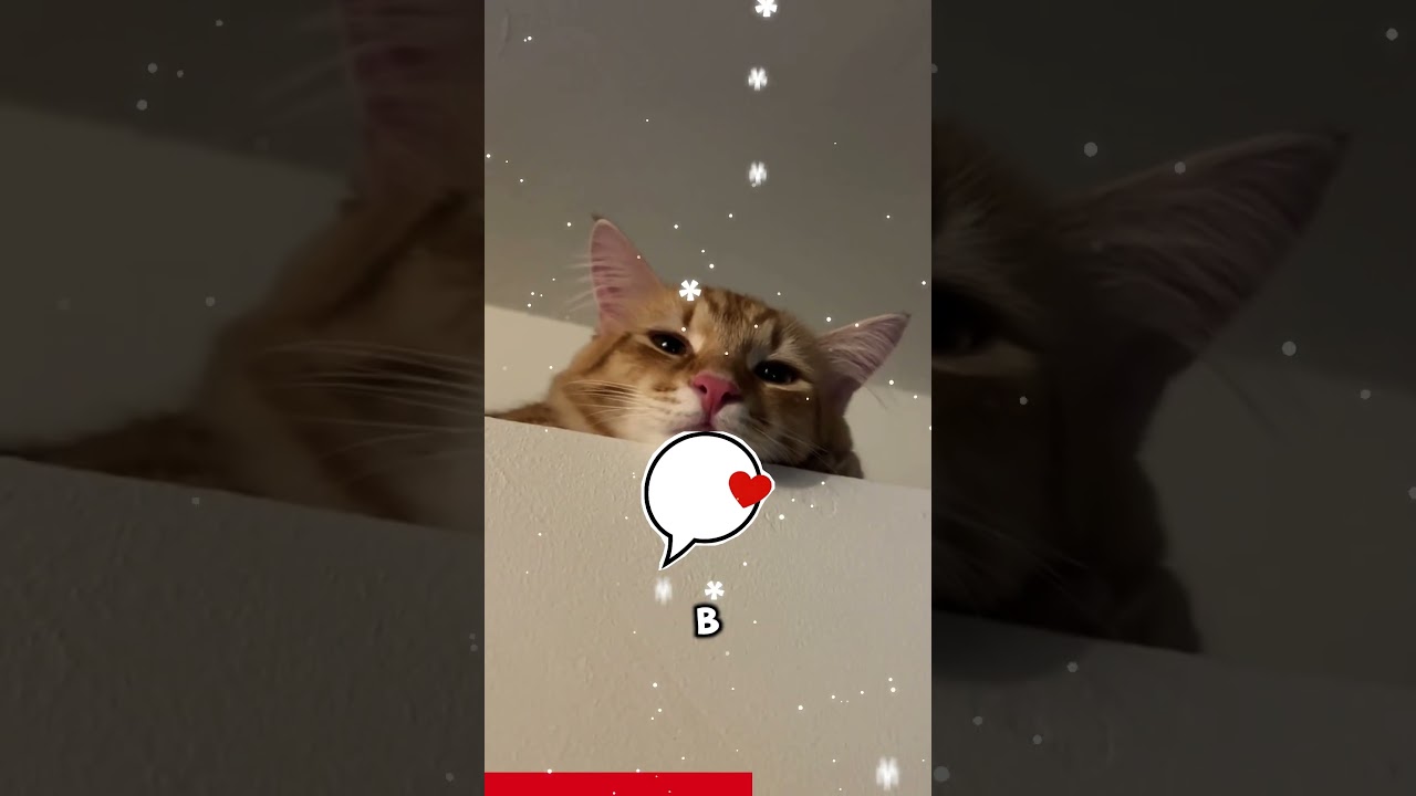 Розыгрыш сестры с вытаскиванием цветных лент изо р