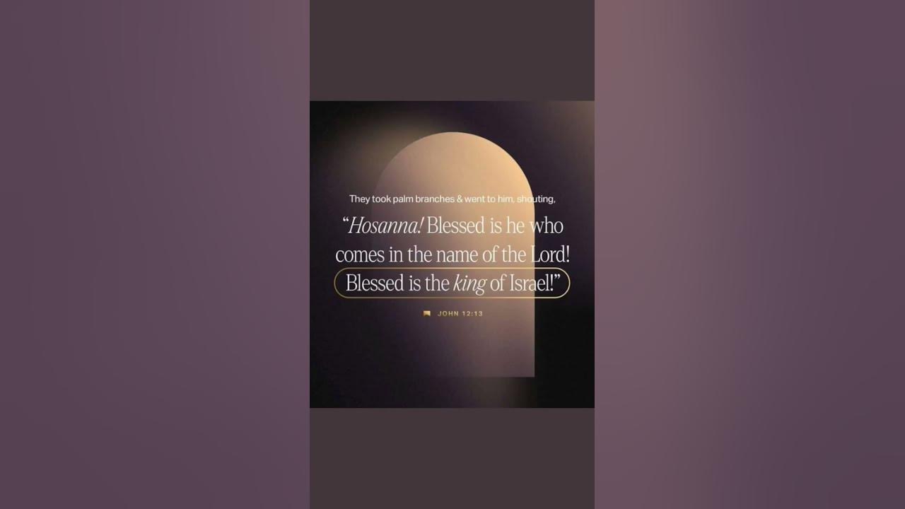john-chapter-12-verse-13-youtube