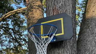 How to build a Backyard Basketball Hoop on a Tree.  Fun Project Under $20 bucks!