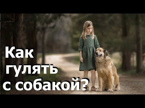 100. Как правильно выгуливать собаку. Прогулка с собаками