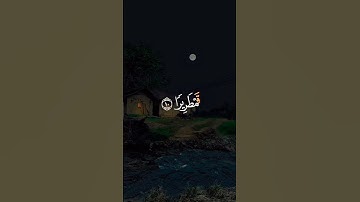 ما تيسر من سورة الإنسان #القرآن_الكريم #آيات