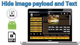 Forensic tool hide payload any image files Practical video