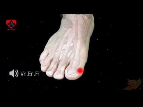 Video SP1 | Huyệt Ẩn bạch | Kinh Túc thái âm tỳ | Acupoint... - youtube