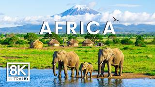 African Safari 8K - Scenic Wildlife Film With African Music