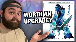 Avatar 4K UHD Blu-ray Review | A Complete Guide To Avatar’s Home Entertainment Options