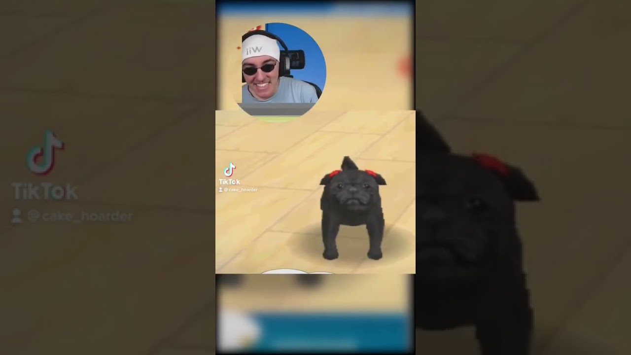 I think my DS mic is broken 😭