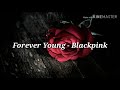 Forever Young - Blackpink (cover)