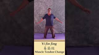 Shaolin Muscle Tendon Change (Yi Jin Jing) | Origins of Yi Jin Jing