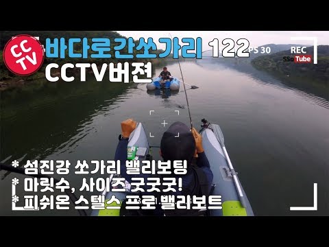 관찰카메라&amp;quot; <strong>8월</strong> 21일 방송분 쏘가리 마릿수 굿, <strong>사이즈</strong> 굿  바다로 간 쏘가리 방송 CCTV버젼
