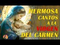 LIVE | 🕊Hermosas canciones para alabar virgen maria💖canción a la virgen maría #2