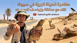 أغرب أنواع الكائنات في واحة سيوة