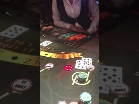 Inside the Bellagio Las Vegas | POV Tour | #lasvegas #casino #art #pov #viral #fyp