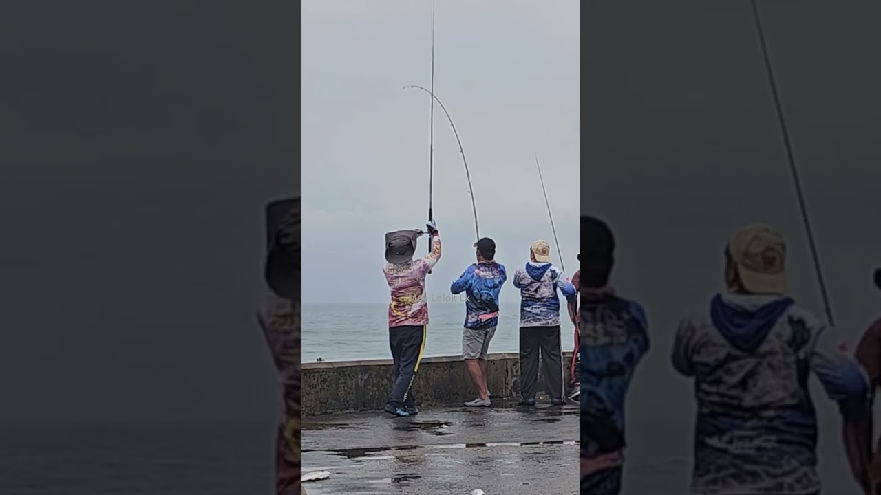 Pesta straik  mancing di tetra congot || shorejigging 