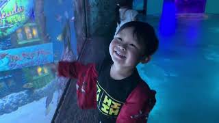 Gracen & Ian Go To Sea Life & Legoland Discovery Center at American Dream NJ