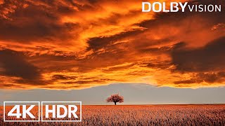 Best Hdr 4K 60Fps Video - Dolby Vision 8K 4K Tv