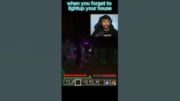 Minecraft Torch Logic 😂 #shorts