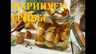 Маринованные грибы на зиму - ВКУСНЕЙШИЙ МАРИНАД! Маринованные грибы на зиму - ВКУСНЕЙШИЙ МАРИНАД!