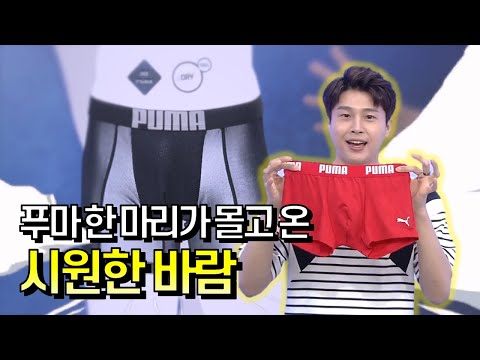 [GS홈쇼핑] 푸마 한 마리 몰고 가세요~! | 푸마 남성 블랙에디션 드로즈 패키지 속옷, 남성속옷, 패션, 코디