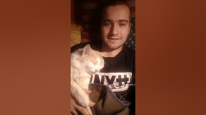 Липсваш ми ❤️‍🩹🕊️рак на панкреаса #song #lyrics #blackpink #cat #catlover #cute #love