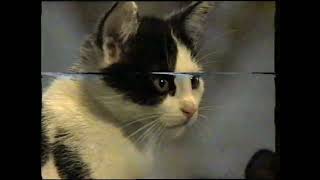RTL7 - Reklamy i zapowiedź (03.1997)