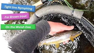 Tight line nymphing for Trout on the Welsh Dee