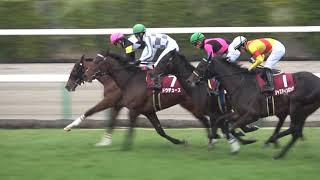 2022 第59回報知杯 弥生賞 ディープインパクト記念GⅡ