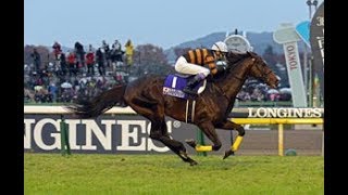 2016 JRA Japan Cup _ KITASAN BLACK