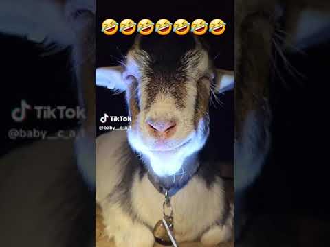 ١٥ أبريل ٢٠٢٤