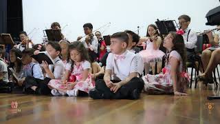 Orquestra Minc Hino 454 - Cidadão Dos Céus Ccb Hinário 5 Musicistas