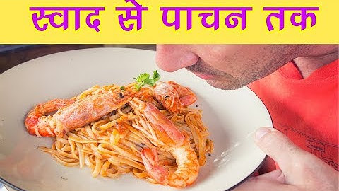 EVS - चखने से पचने तक  Tasting to digestion  - Hindi | NCERT Class 5