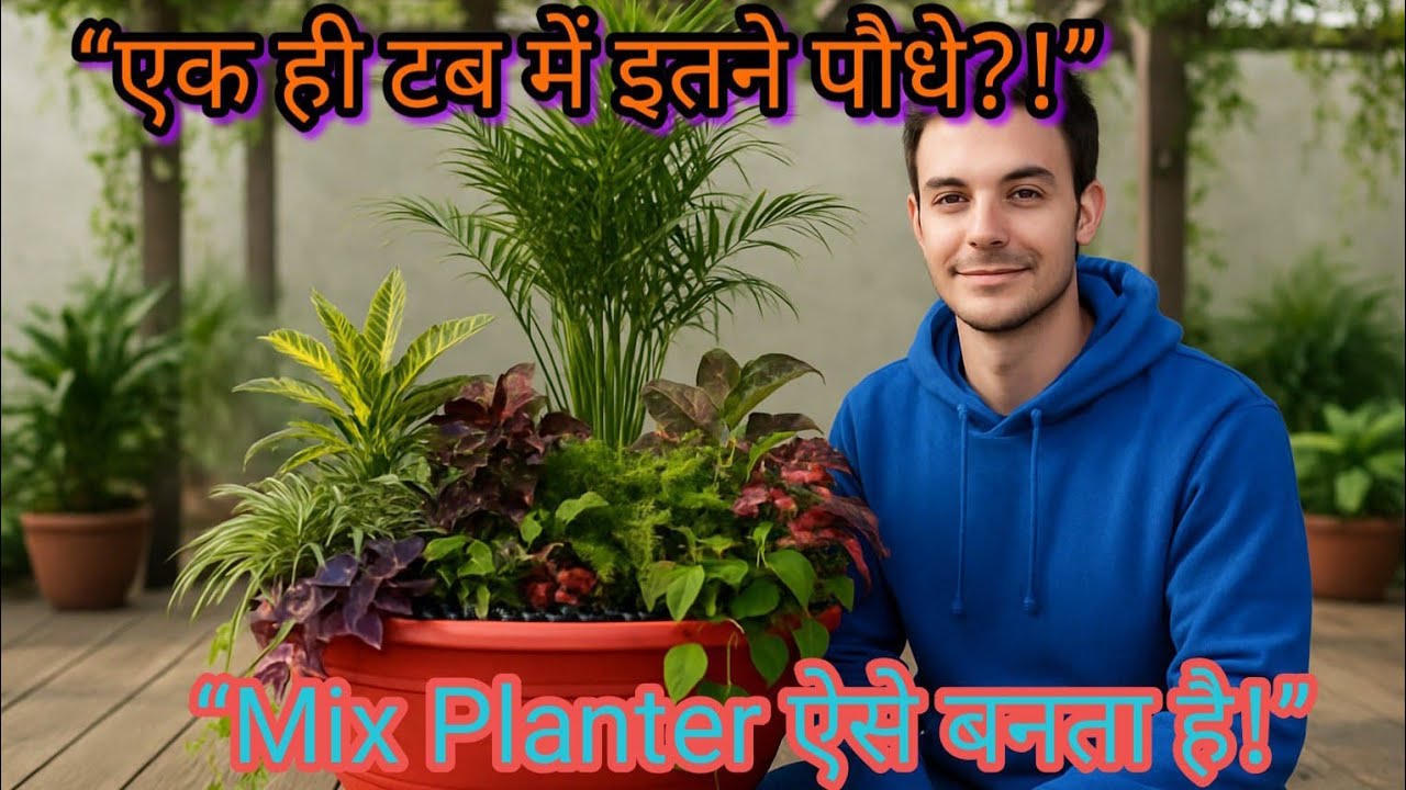 Big Tub Mix Planter एक टब में इतने सारे पौधे कैसे लगाएं? Step by Step Full Guide Easy Planting Tips