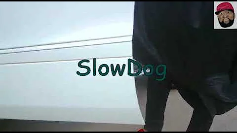 Video: Slowdog - Odogwu (Cover)