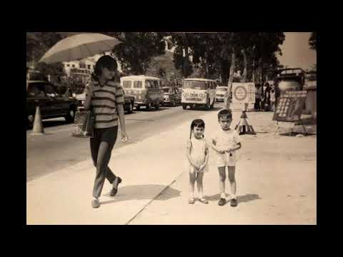 沙田舊墟的興落 1954年～1979年