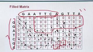 Topic 31 (BIF731 - Advanced Bioinformatics)